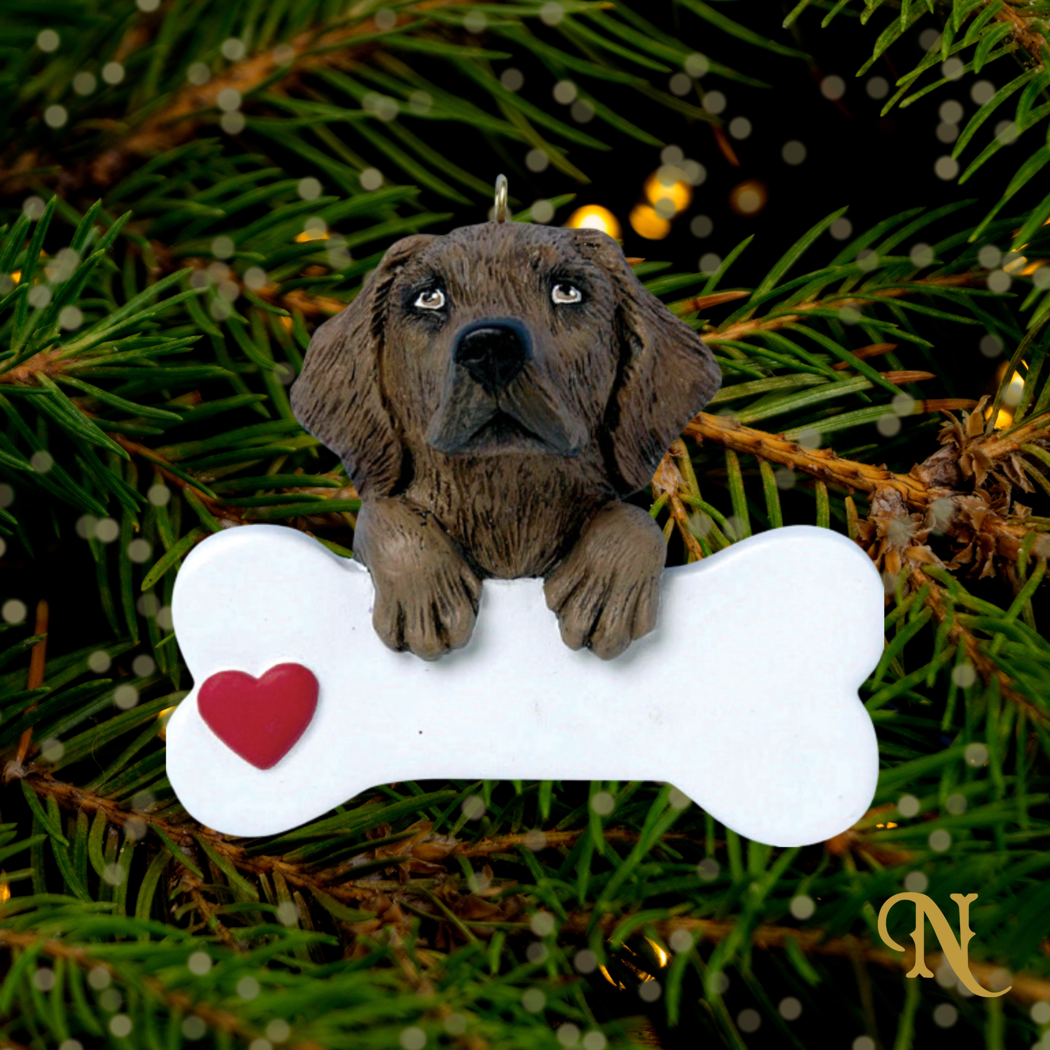 Chocolate Labrador